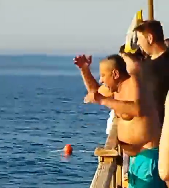 köpek balığı saldırısı (3)