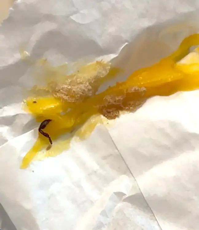 küflü hamburger rusya mcdonaldsi (2)