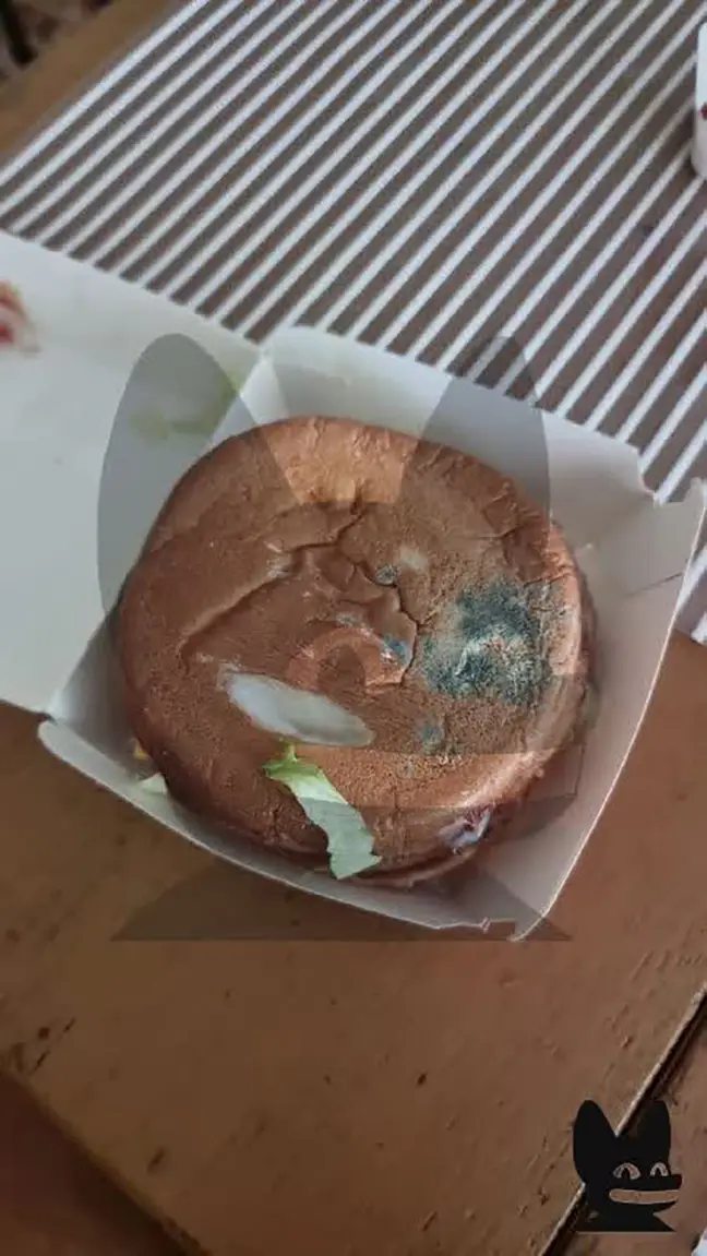 küflü hamburger rusya mcdonaldsi (3)
