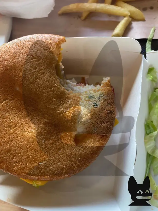 küflü hamburger rusya mcdonaldsi (4)