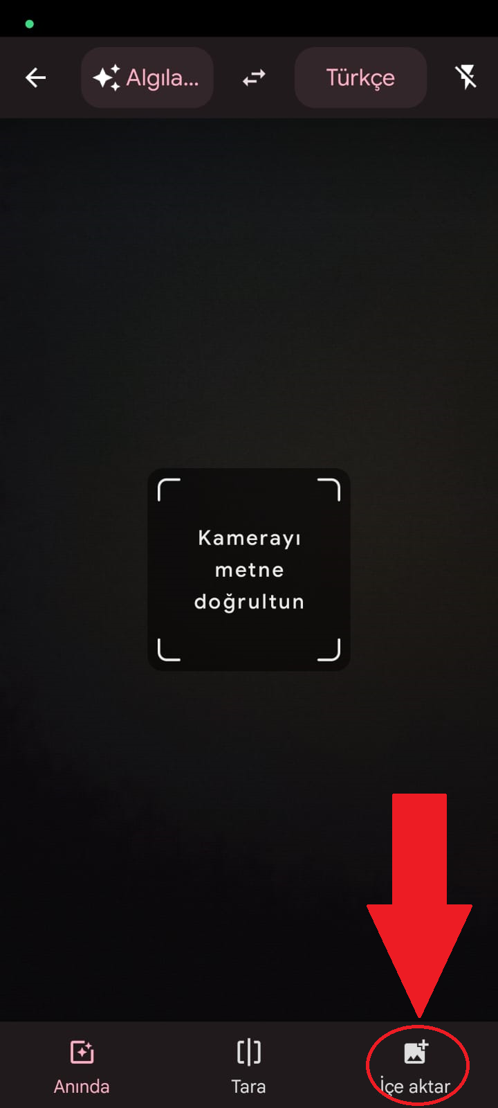 Google Çeviri ile telefonumda bulunan resmin metnini nasıl çeviririm?