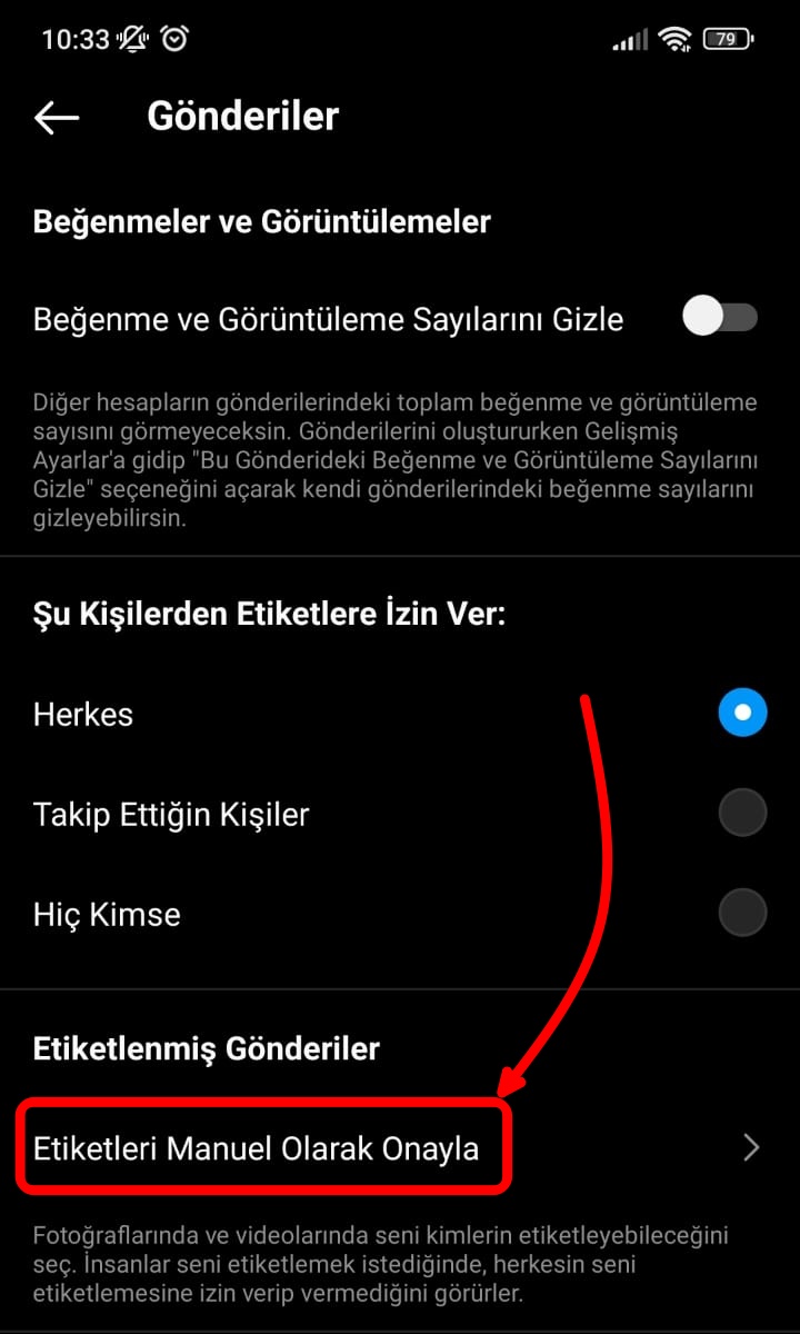 tek seferde birden fazla (5)