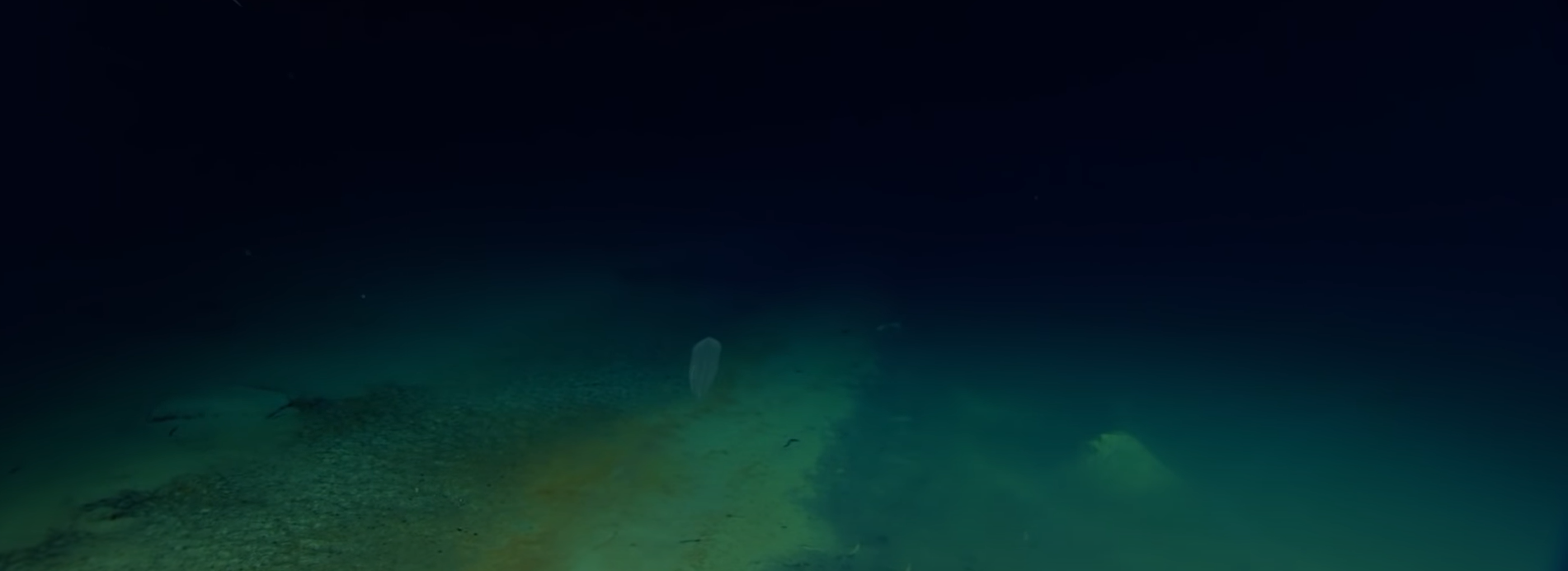 tuzlu su havuzu kızıldeniz (1)