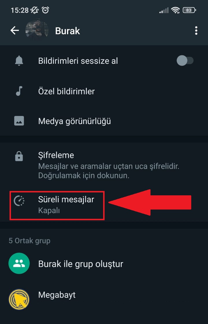 Belirli sohbetlerde süreli mesaj etkinleştirme:
