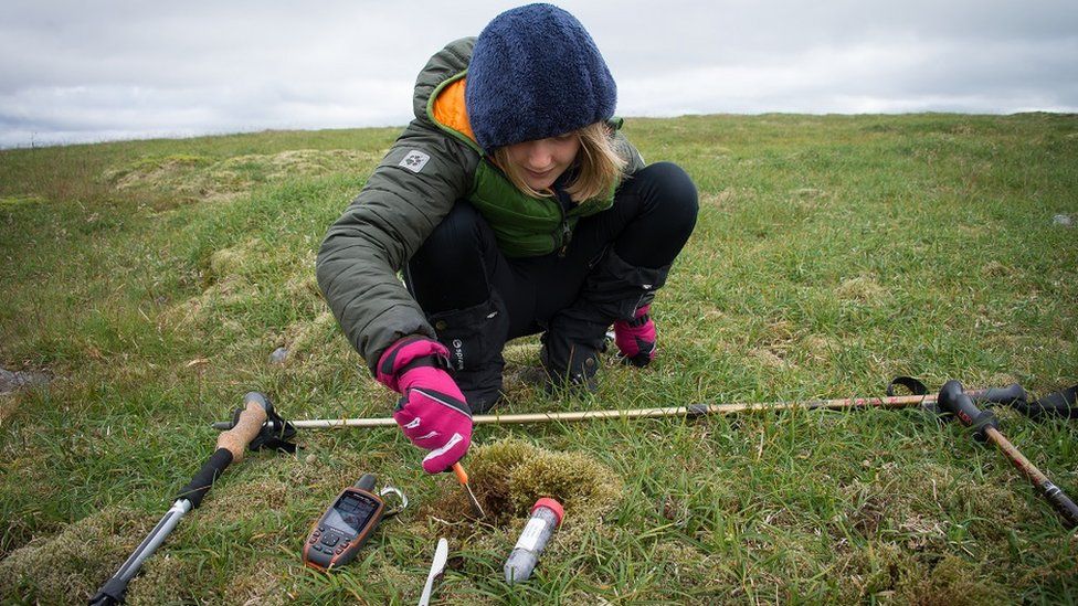yeni mantar türü keşfedildi (3)