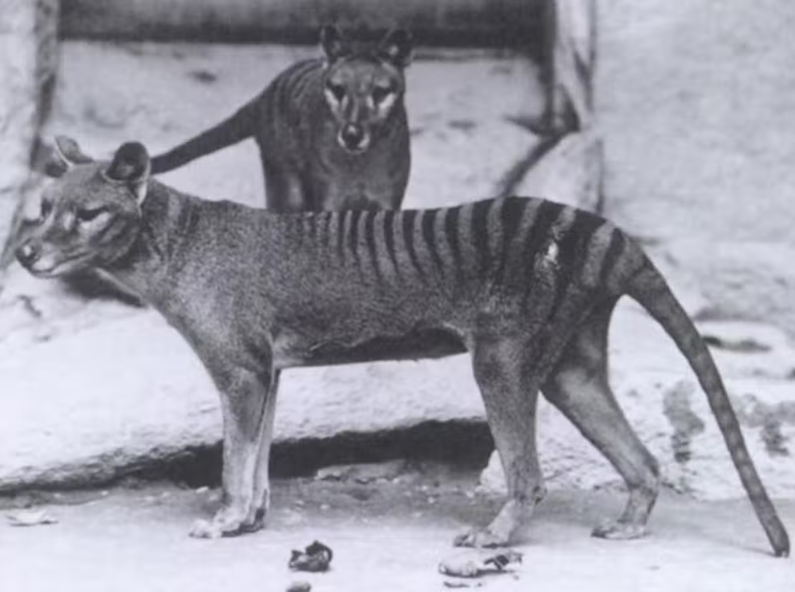 2022-08-20 12_26_22-Window