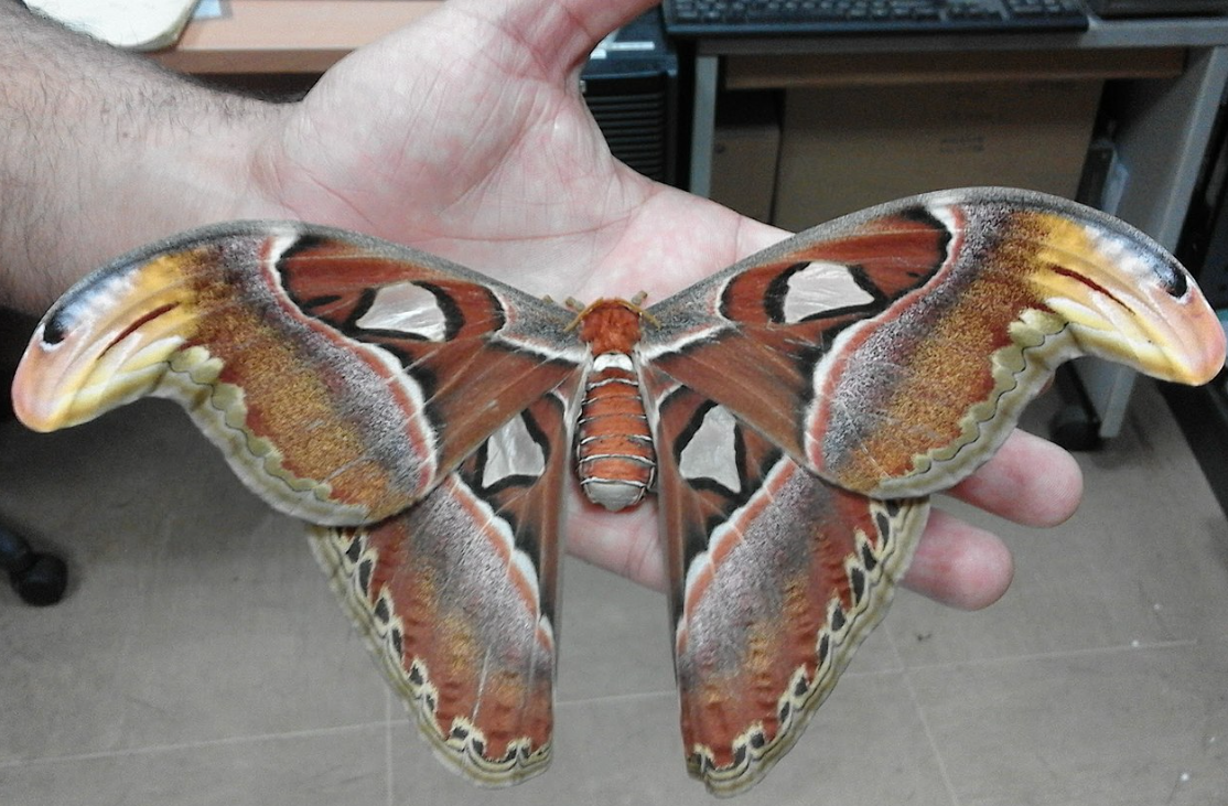 2022-08-22 14_36_00-Window