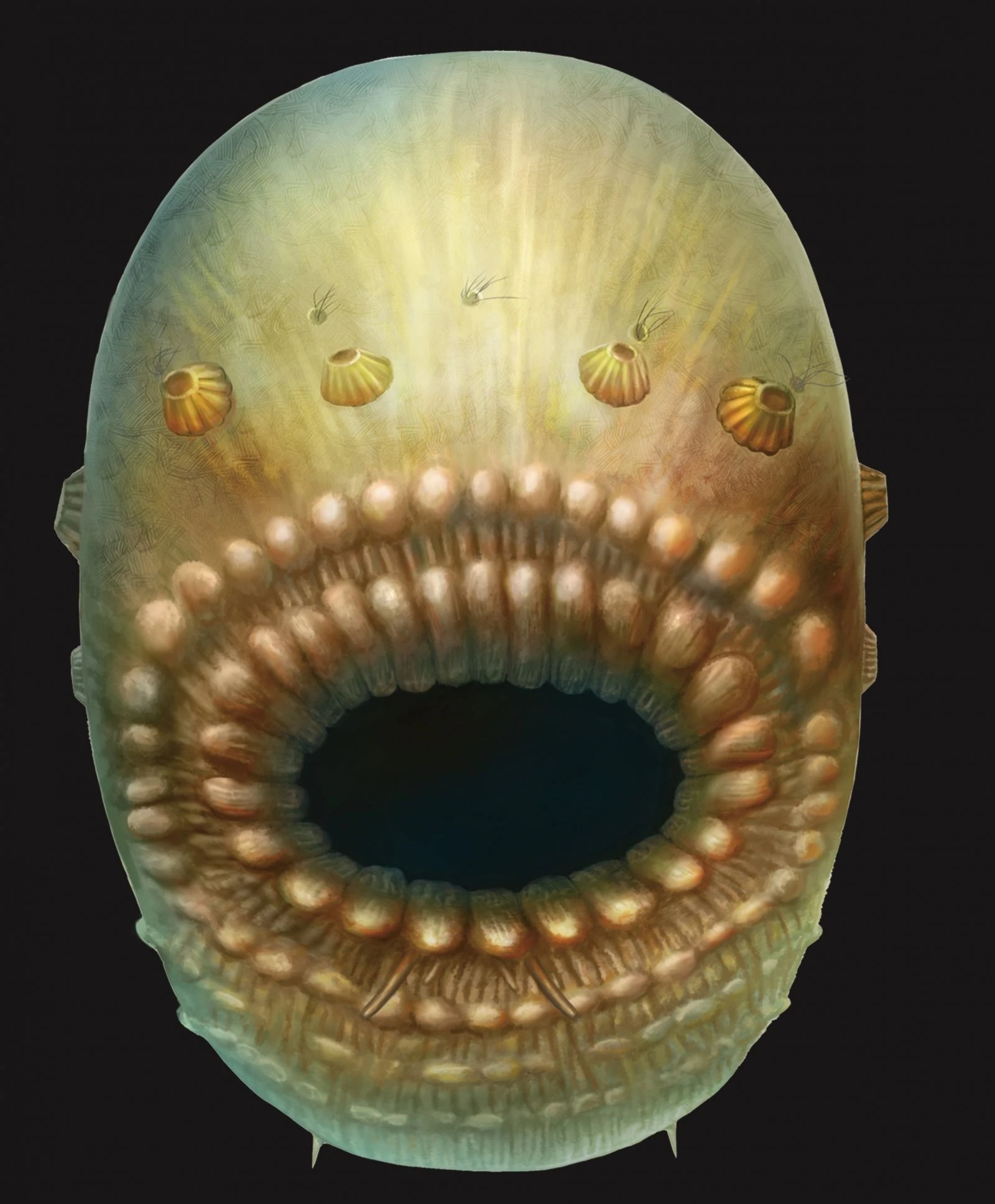 anüsü olmayan canlı (1)-1