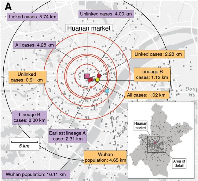 covid 19 nereden çıktı (2)
