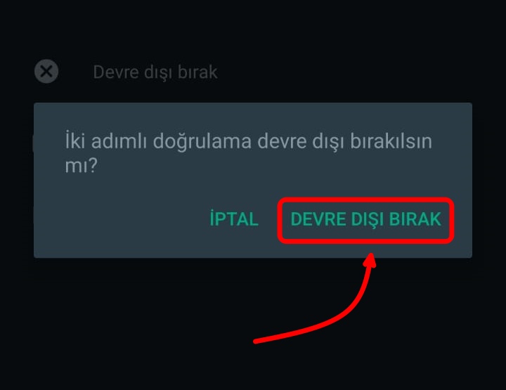 devredışı (1)