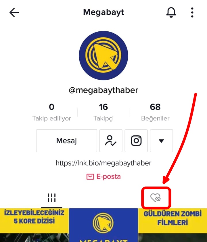 dger-begeni-görme (1)