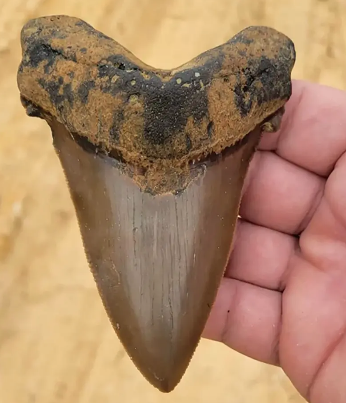 Ekran Resmi 2022-08-23 12.23.58