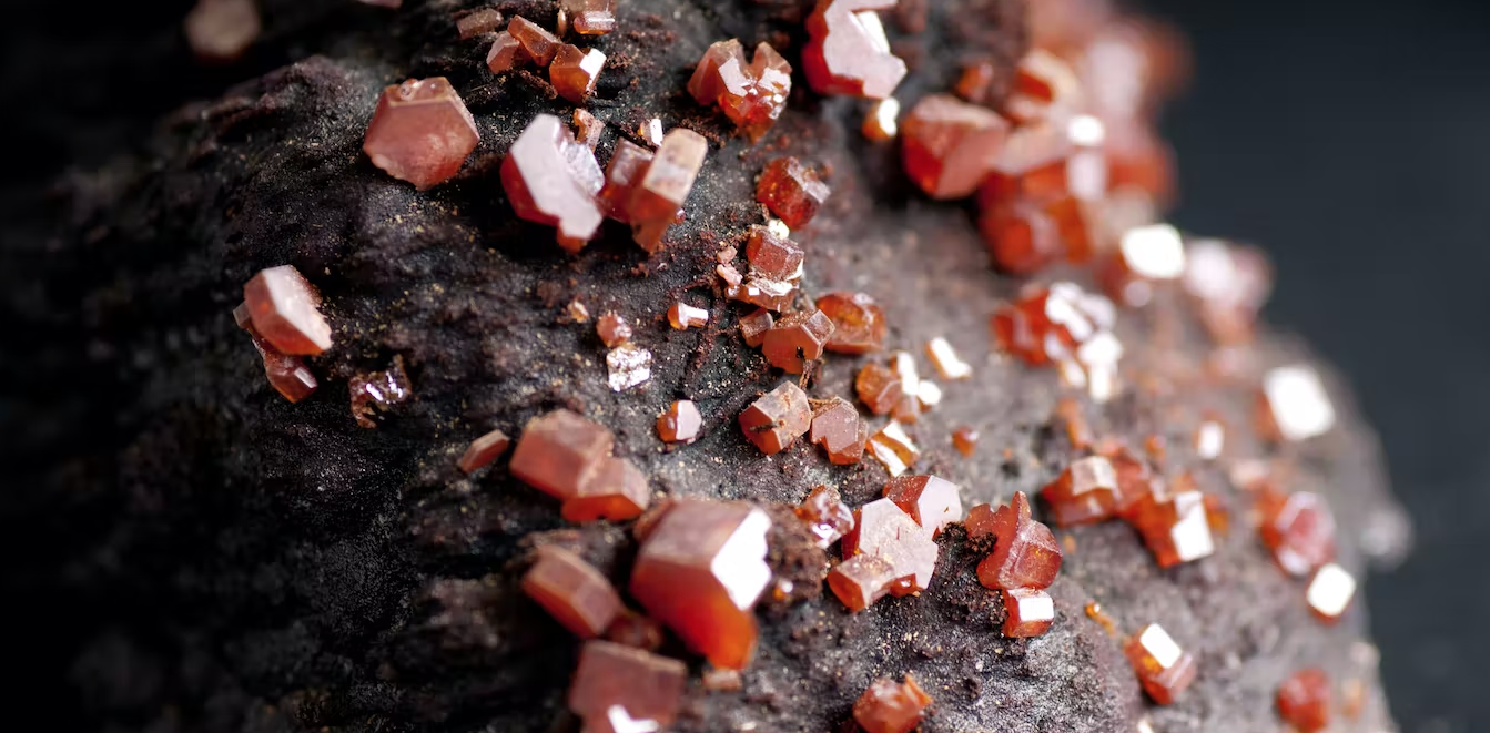 Ekran Resmi 2022-08-23 16.40.38