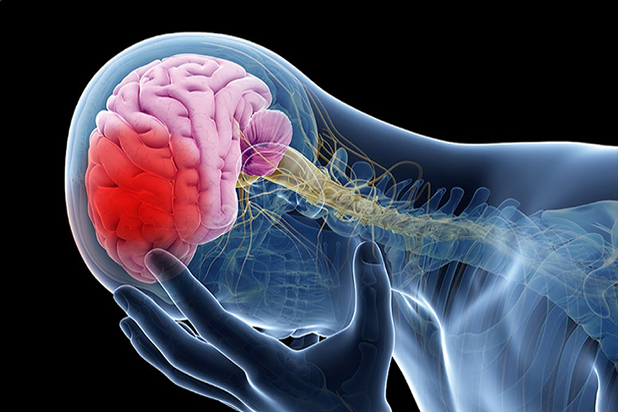 inme-felç-nedir-beslenme