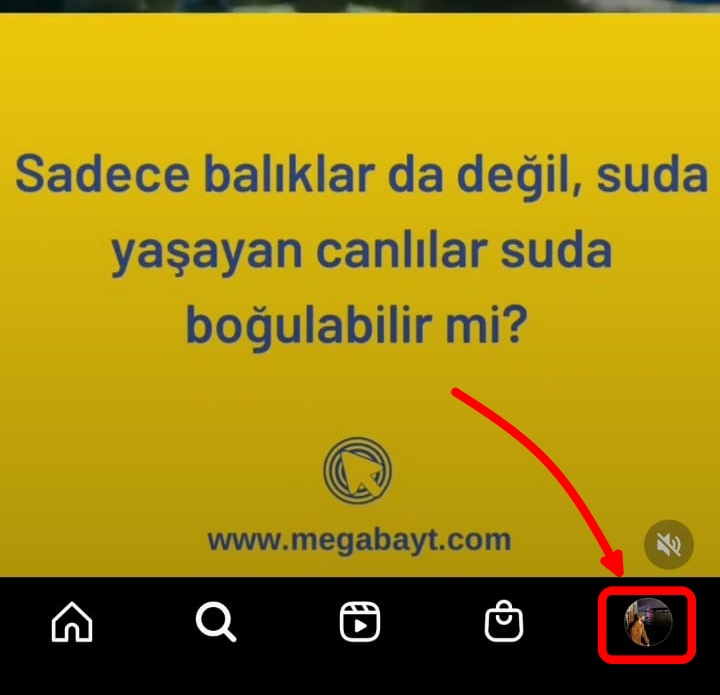 reklam ilgi alanları (1)