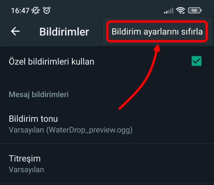 sıfırlama (1)