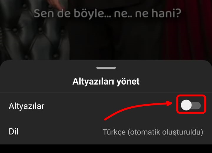 tek video altyazı (1)
