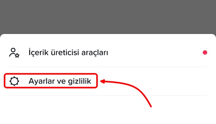 tiktok hesap silme (3)