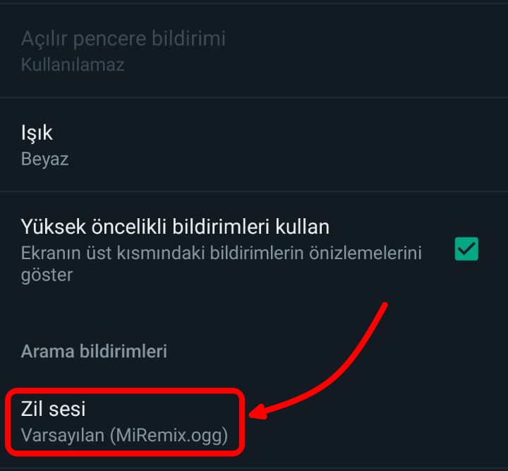 zil sesi