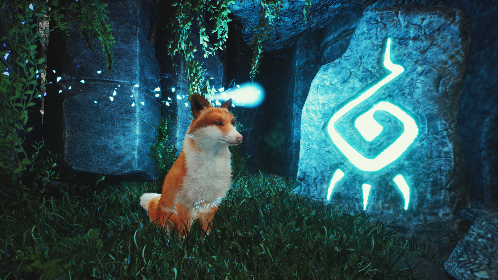 19c996b3dad90e7bd7fad2c1020d1517a2c0d026