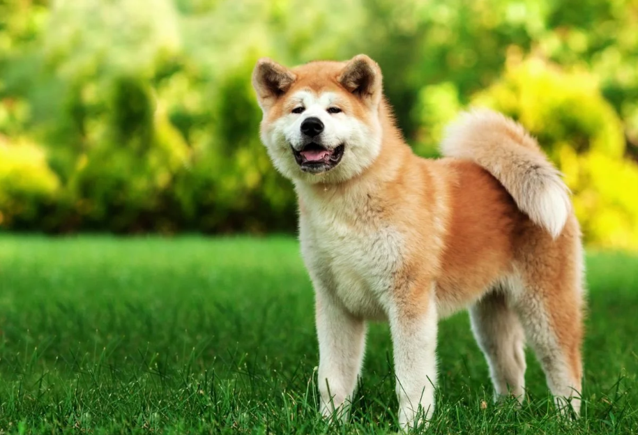 2022-09-28 11_46_12-Window