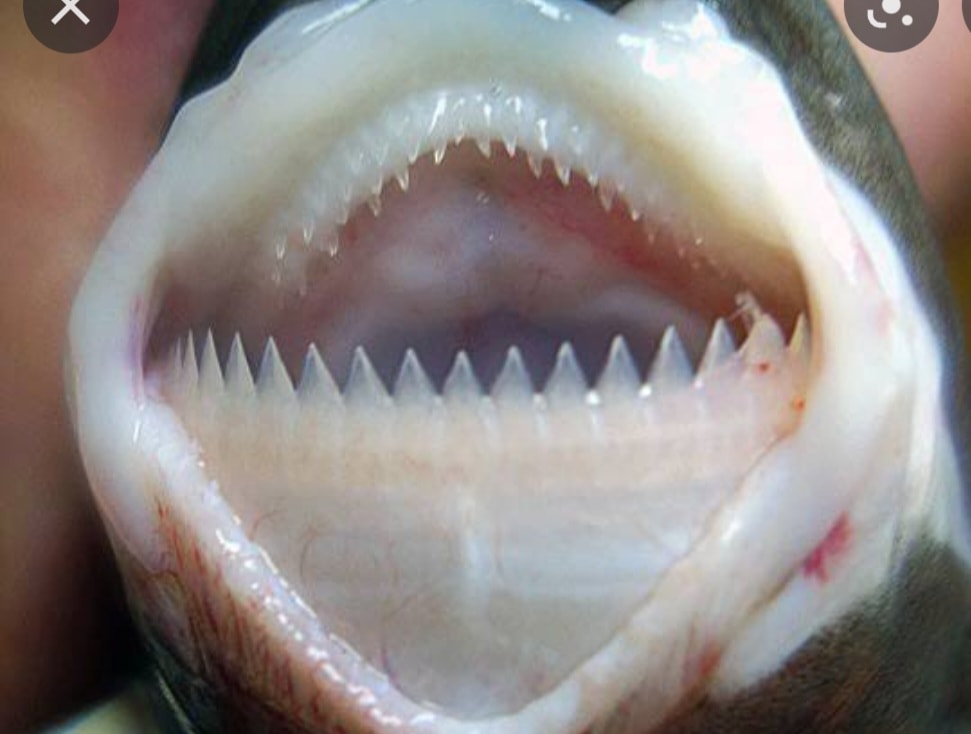 304926830_627086772111475_511448191974668215_n