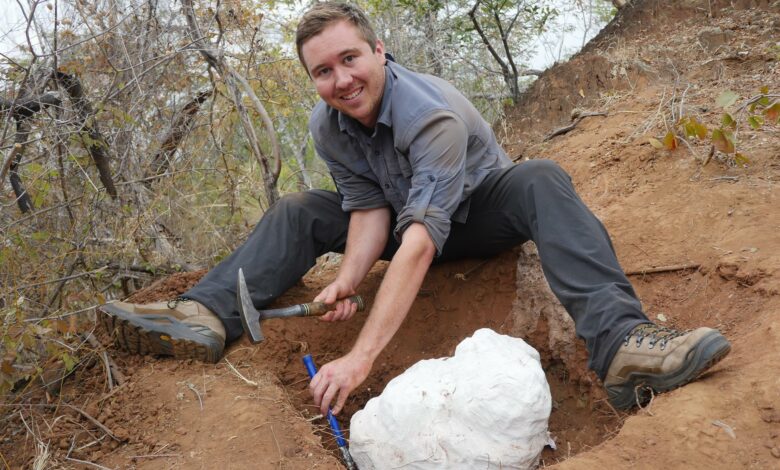 afrikanın en yasli dinozru (2)