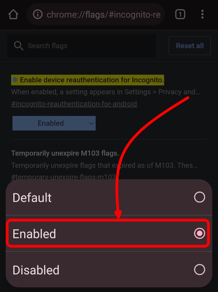 chrome-parmak-izi (3)
