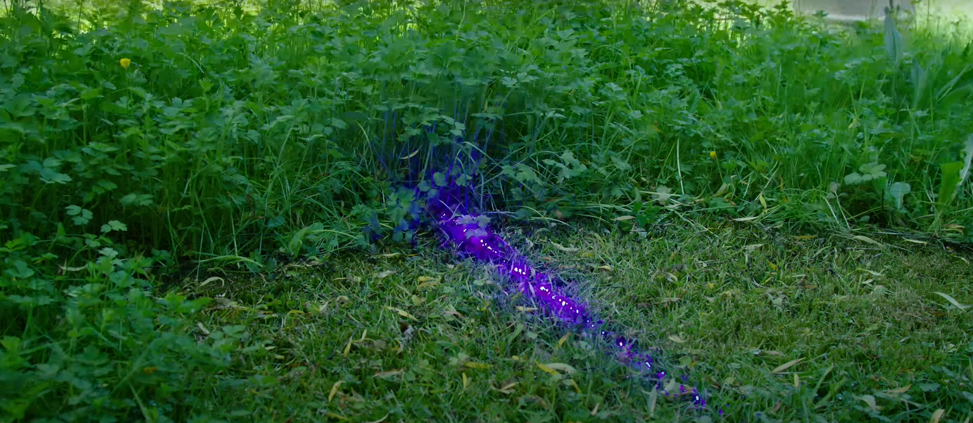 Bir YouTuber,  lazer ışını ile çimleri kesen çim biçme robotu yaptı 1