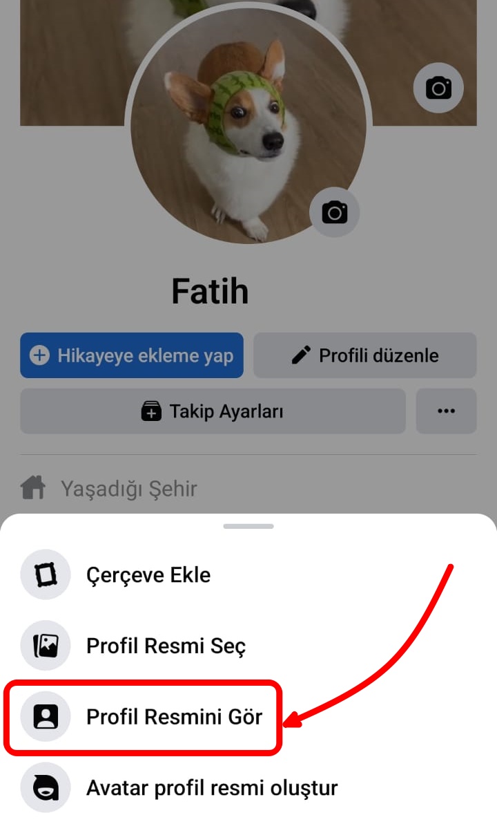 facebook-profil-resmi-kaldirma (3)