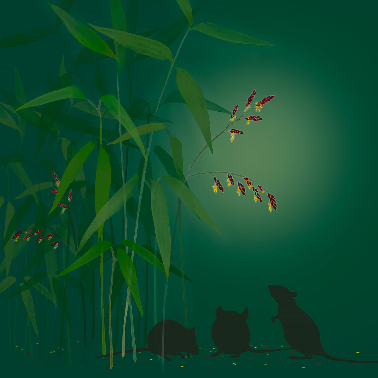 120 yılda bir yaşanıyor! Fareler Japonya'yı istila etti 5