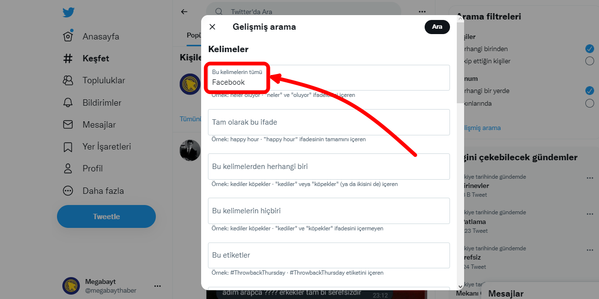 gecmis-tweet-bulma-ve-silme (3)