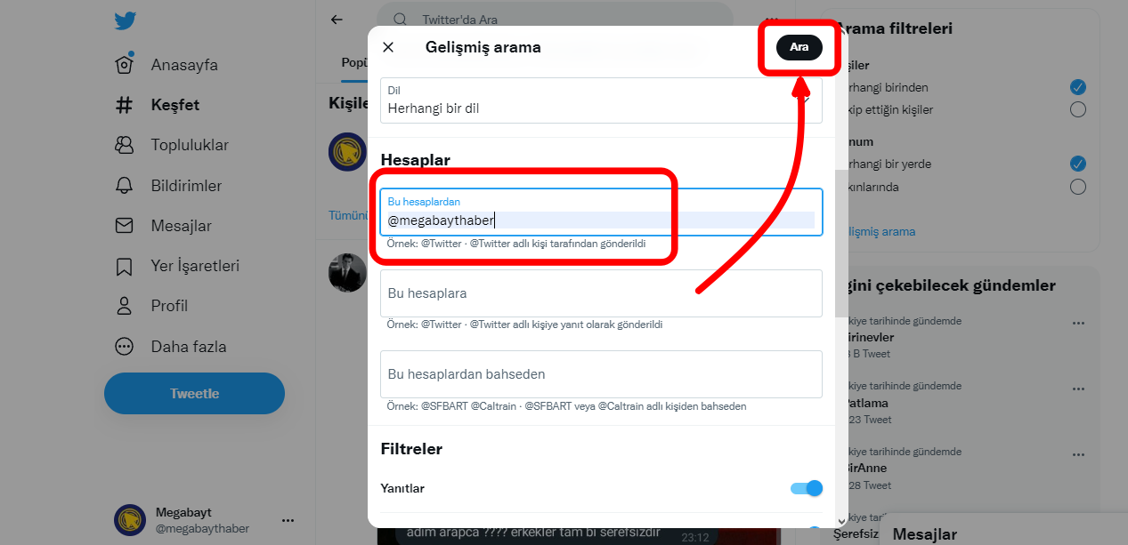 gecmis-tweet-bulma-ve-silme (4)