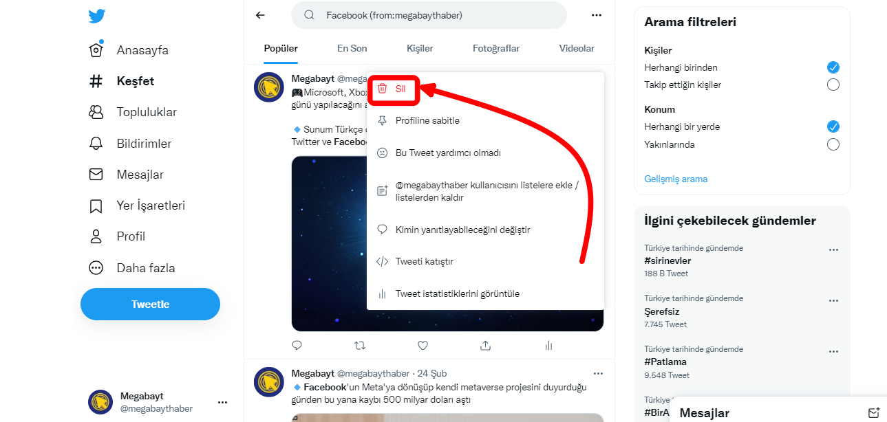 gecmis-tweet-bulma-ve-silme (6)