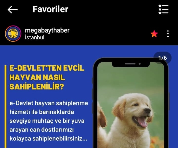 instagram-favoriler (6)