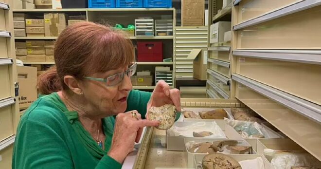 kalp-fosili2-660x347