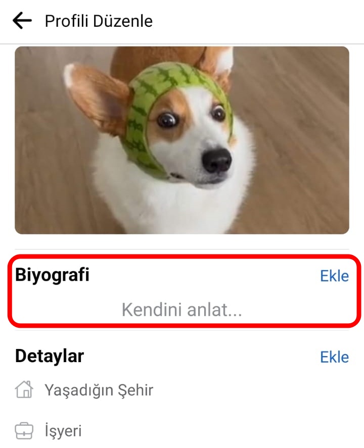 mobil-biyografi (2)