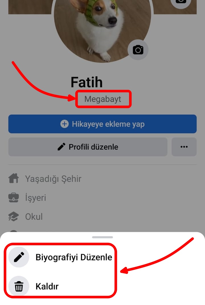 mobil-degistirme-silme