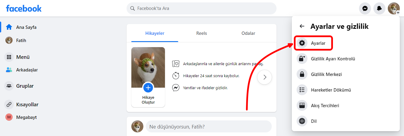 pc-arkdas-listesi-gizleme (2)