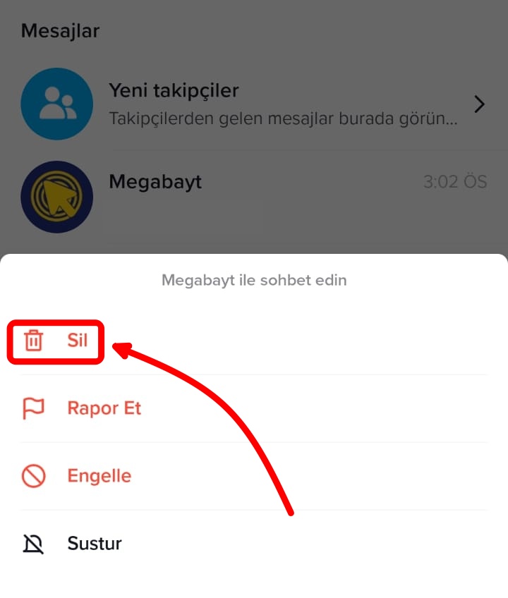 sohbet-silme