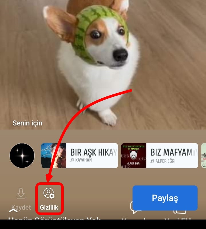 tek-hikaye-gizleme (1)