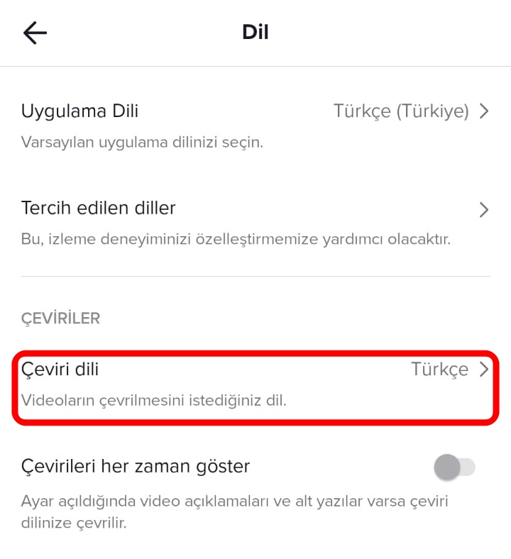 tiktok-ceviri-dili (1)