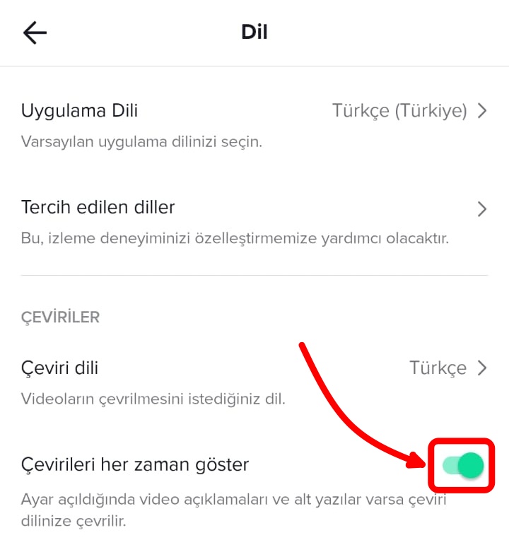 tiktok-ceviri-dili (3)