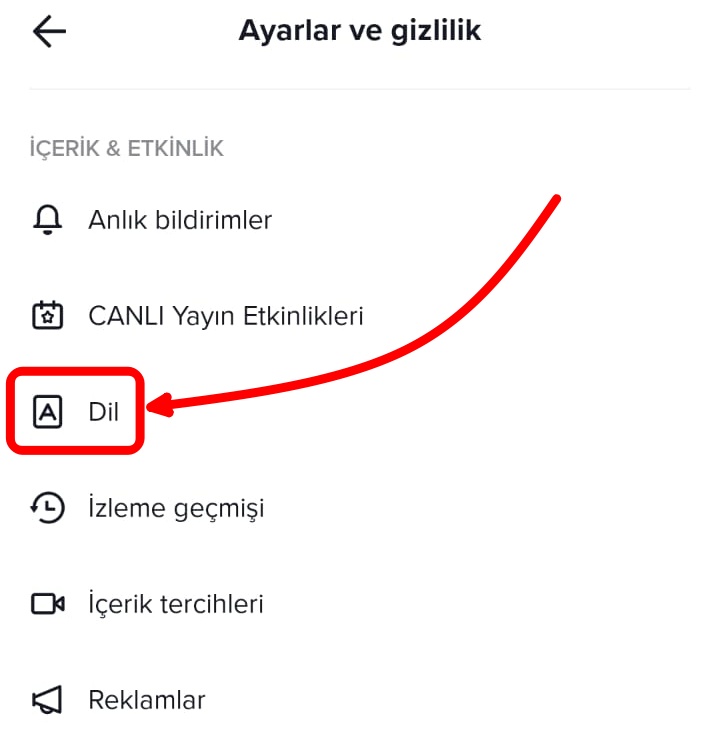 tiktok-dil-degistirme (2)