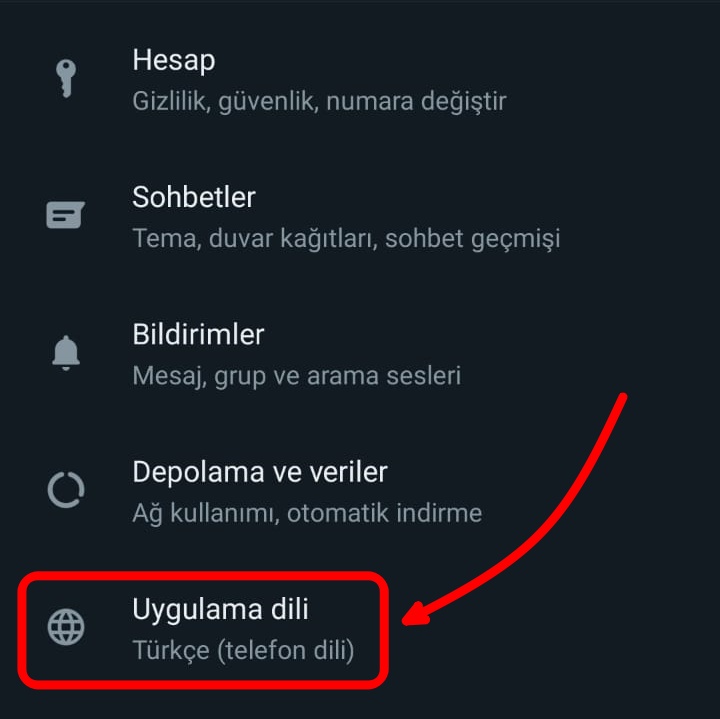 whatsapp-dil-degistirme (3)