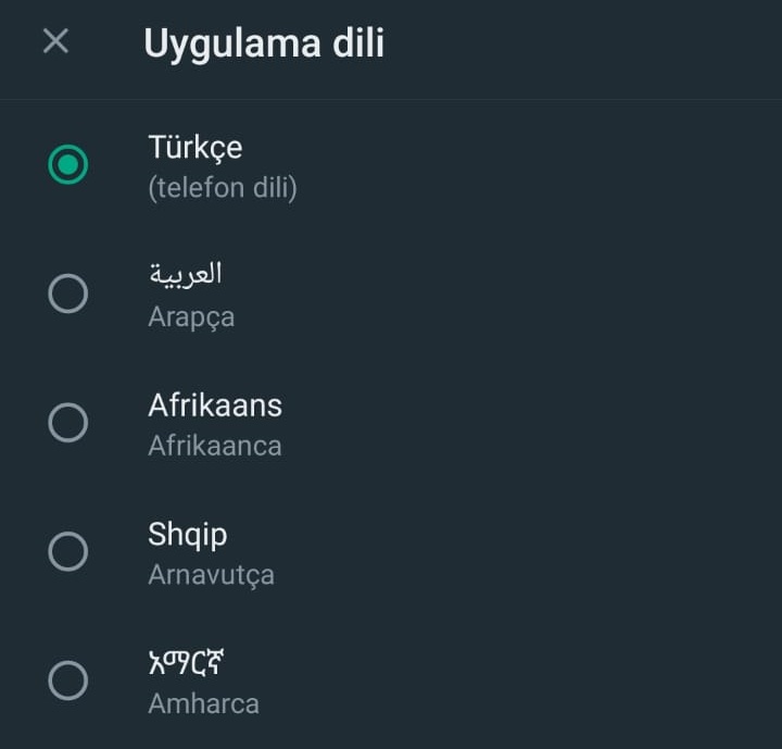 whatsapp-dil-degistirme (4)