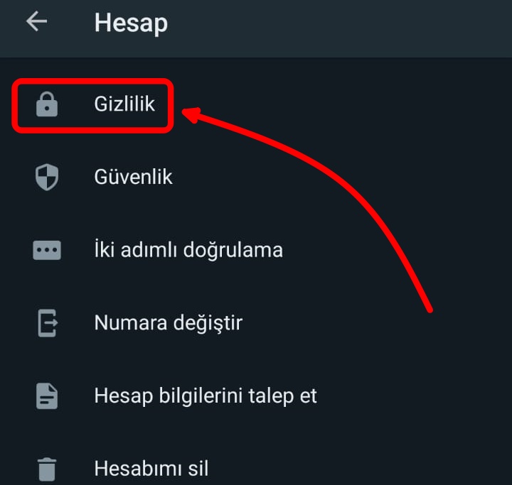 whatsapp-okundu-bilgisi (4)