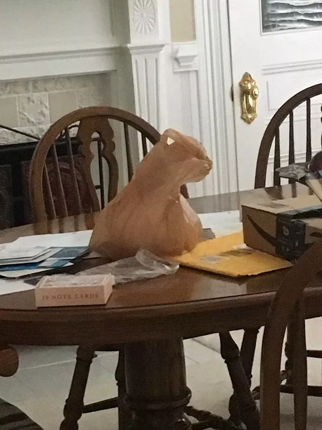 Beyninizi adeta 'yakacak' birbirinden ilginç 15 görüntü 3