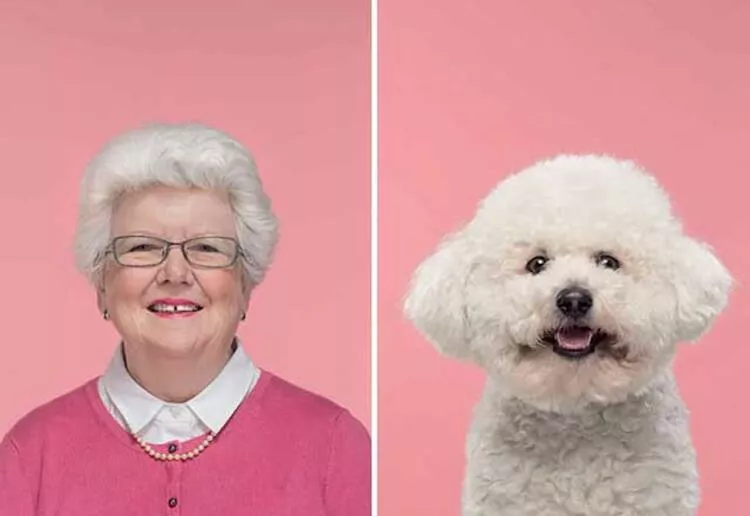 Bu kadar benzerlik fazla! Sahiplerine benzeyen 25 komik evcil hayvan 1