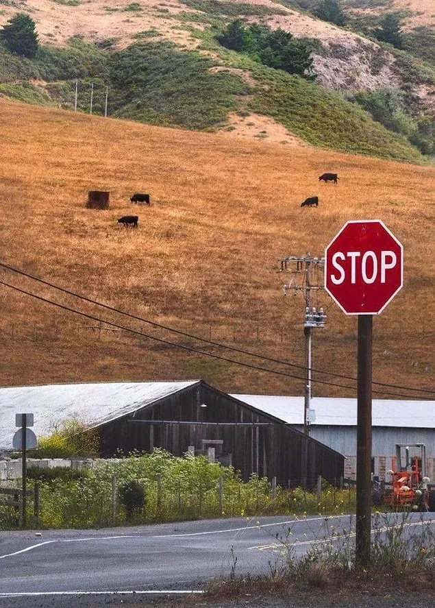 Beyninizi adeta 'yakacak' birbirinden ilginç 15 görüntü 7